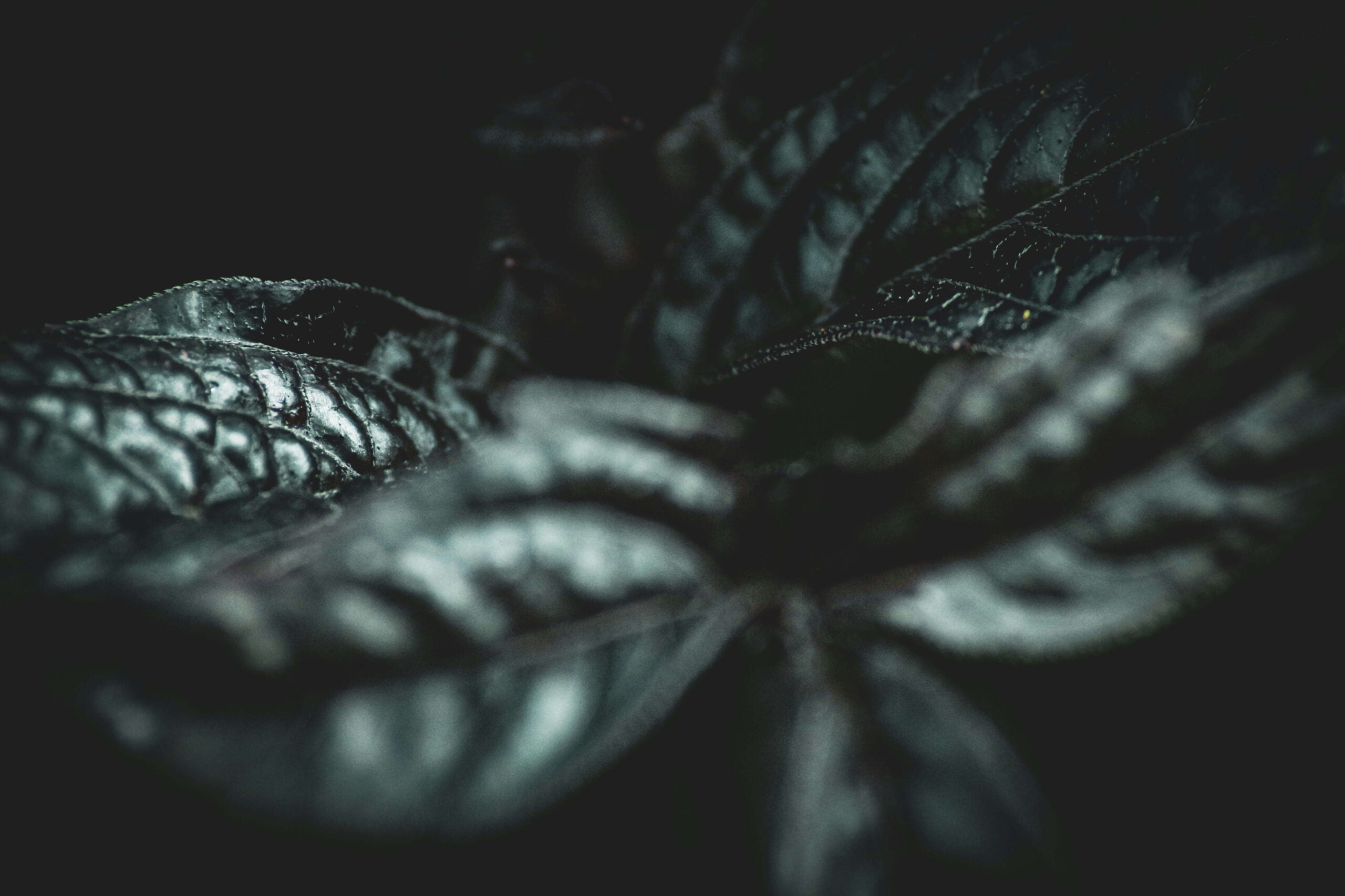 Read more about the article Dissociative Experiences Scale